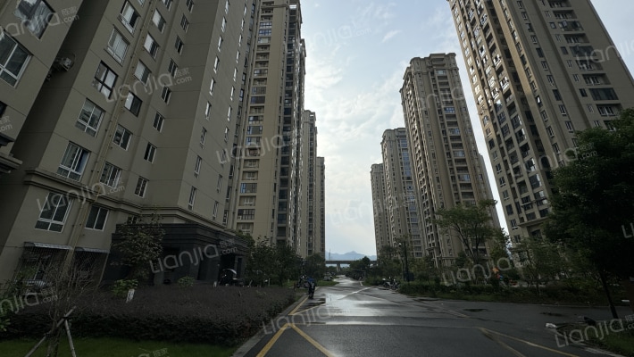 阳桐花苑外景图