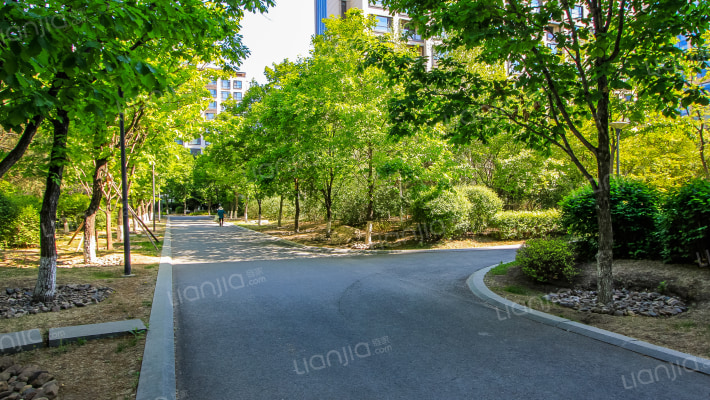 伟峰东第外景图