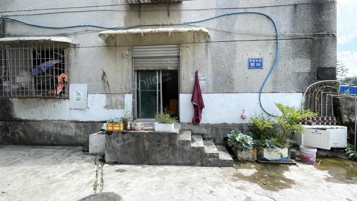 东新区路36号外景图