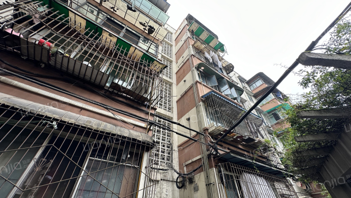 武侯祠东街4号外景图