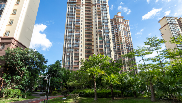 半岛1号十一期外景图