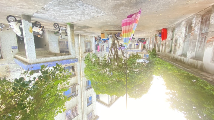 牧医新村外景图