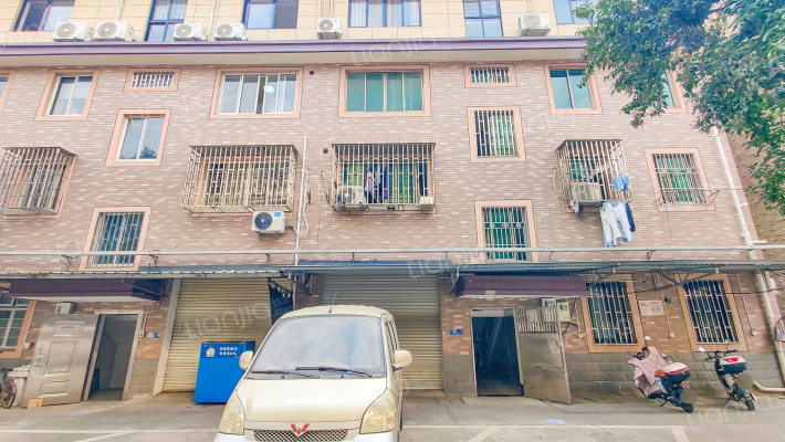 新兴弄71号外景图