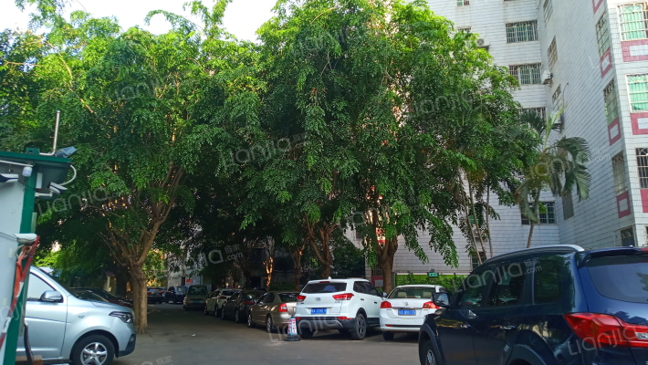 龙华商城外景图