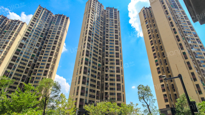 中洲半岛城邦外景图