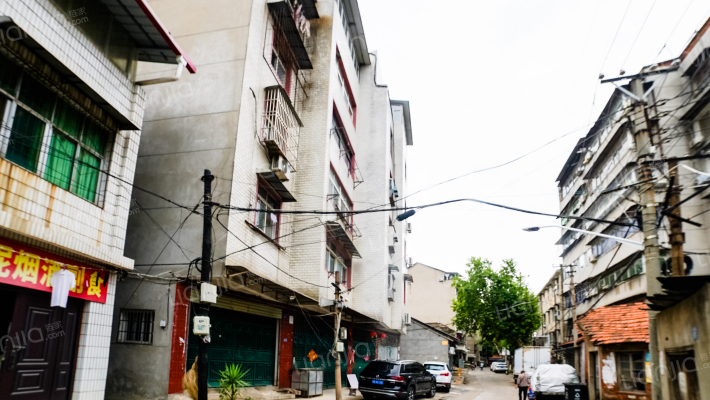 古井路24号外景图