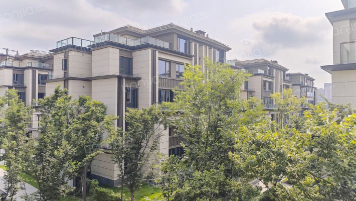 金科南山外景图