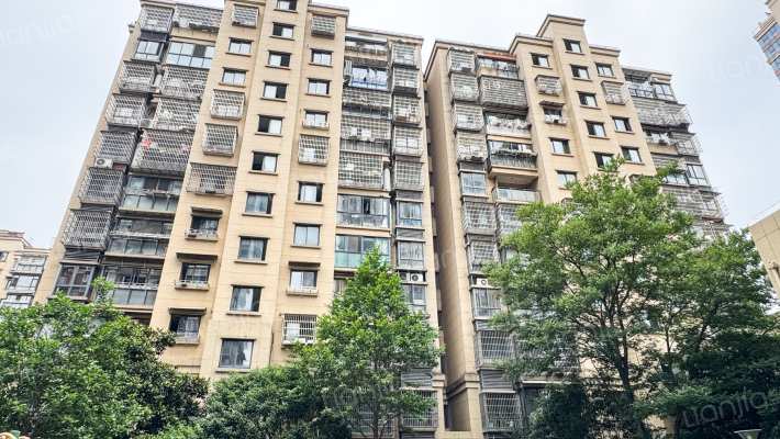 大唐金座外景图