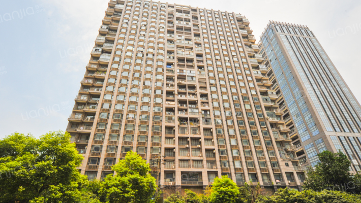 星河国际（洪城路778号）外景图