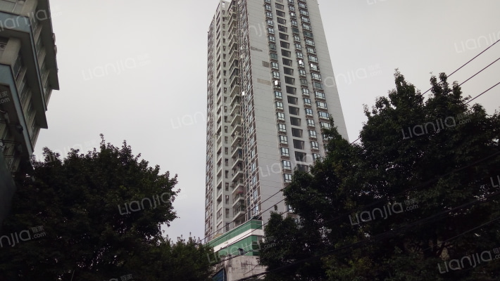 海珠紫竹云轩外景图