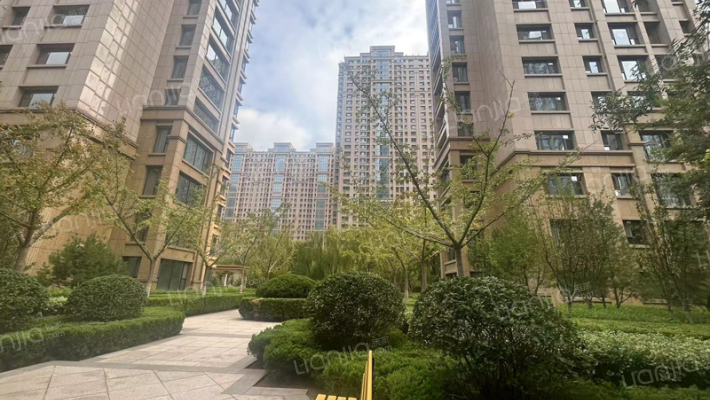 龙泰国际外景图