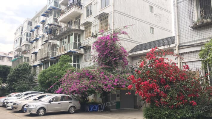 龙锦花苑外景图