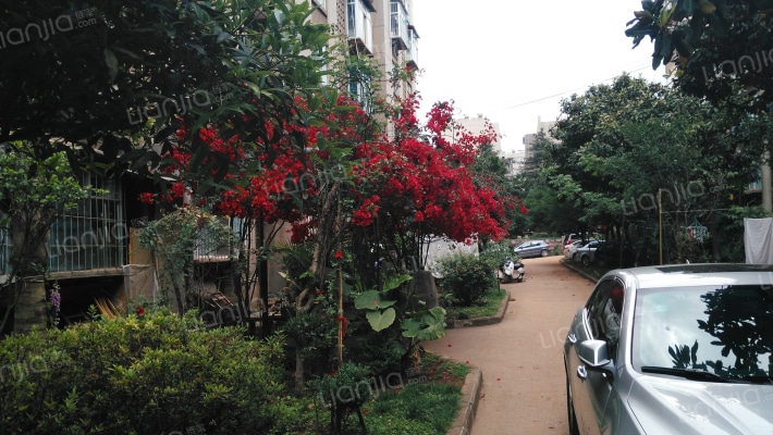 观音寺56号外景图