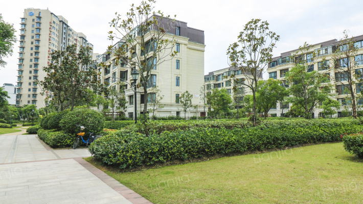 富力十号外景图