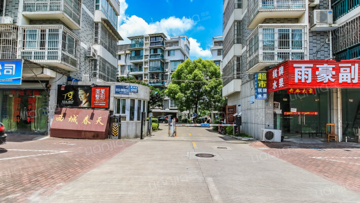 西城春天外景图