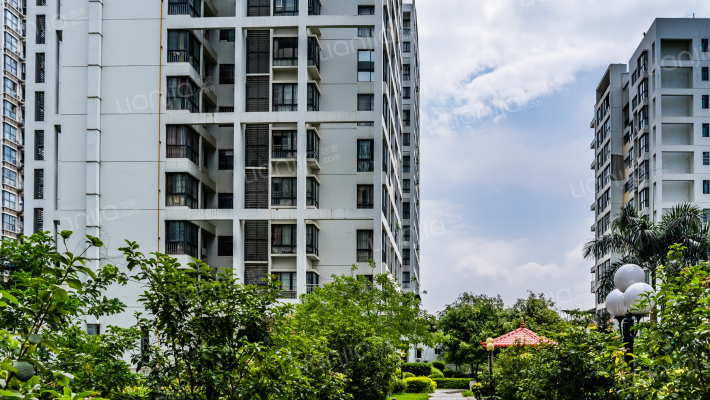 中谷蓝枫外景图