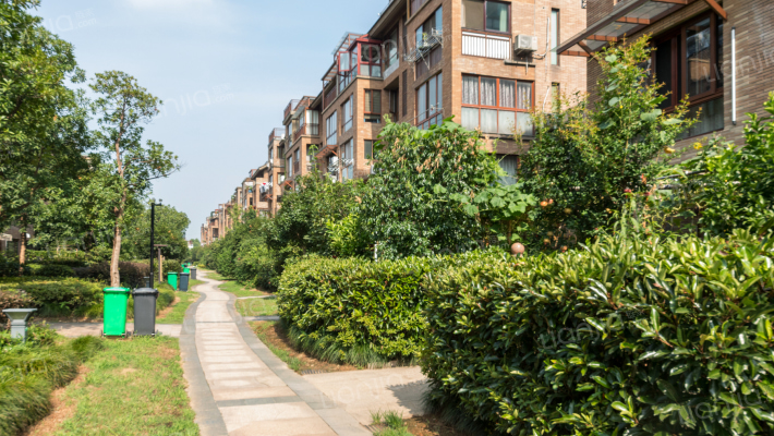 大城小院人家外景图