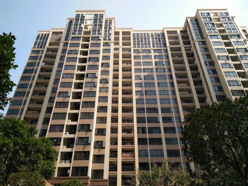 光明花半里相册