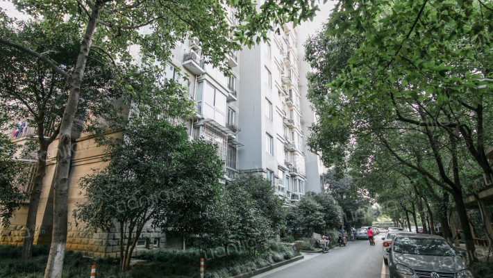 金成嘉南公寓外景图