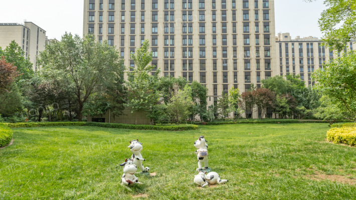 亦庄金茂悦北区外景图