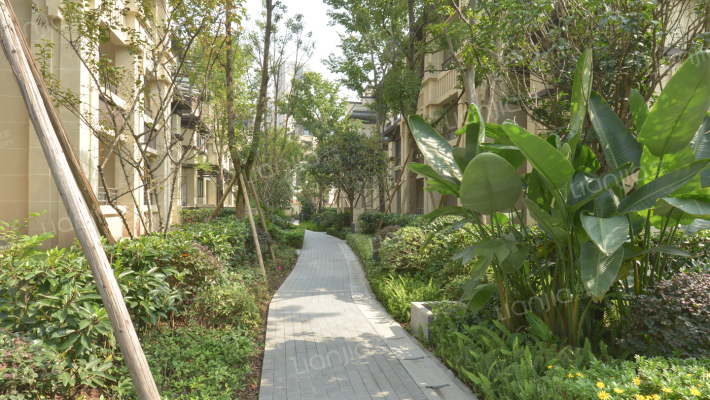 金茂光域外景图