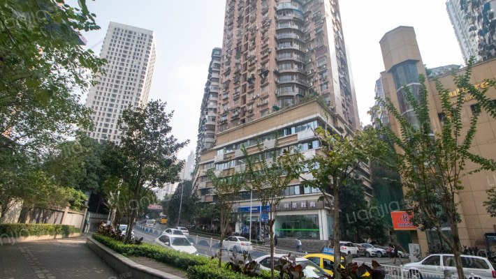 盛世嘉园外景图