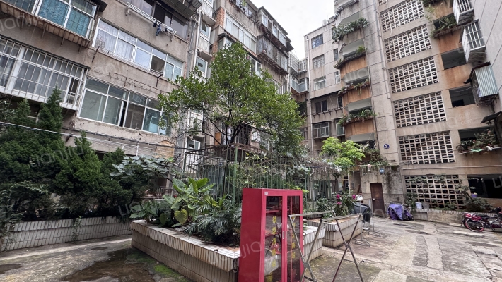 崇善街21号外景图