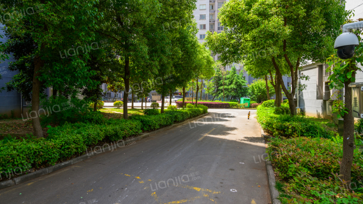 東篱春晓外景图