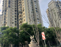 蓝光香江国际二期六区
