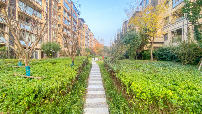 世茂国风外景图