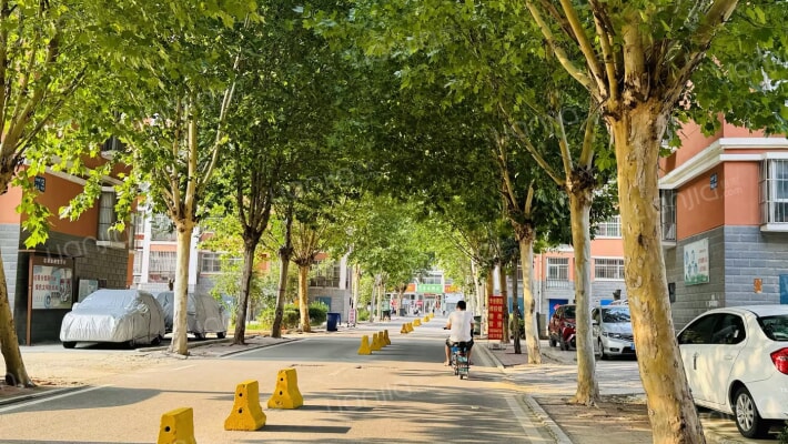 岱岳花园A区外景图