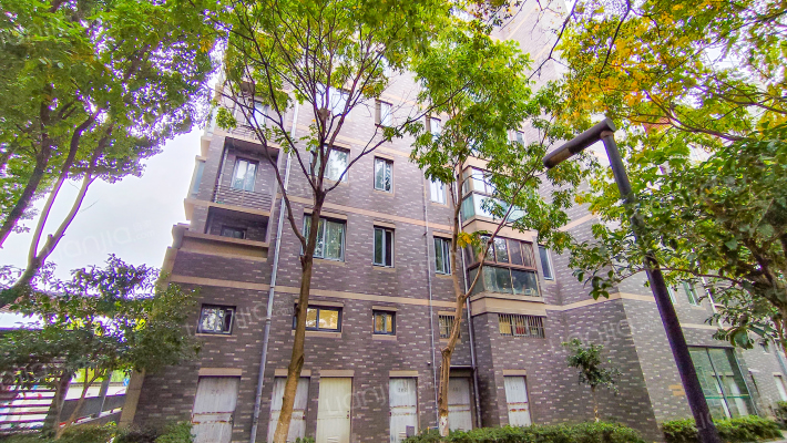 修川路992号外景图