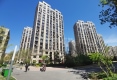 春柳公园8