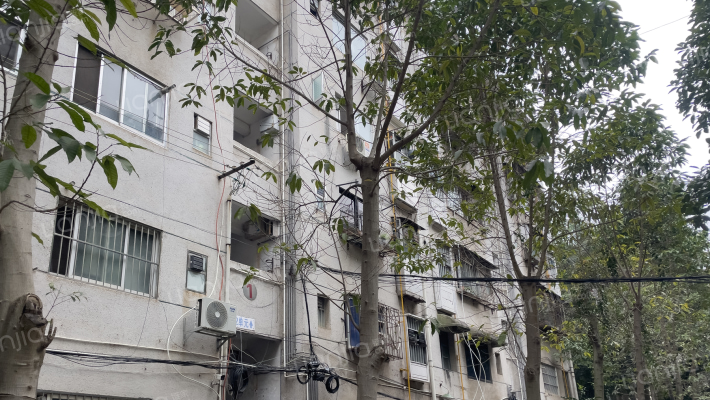 南宁市广播电影电视局宿舍区外景图
