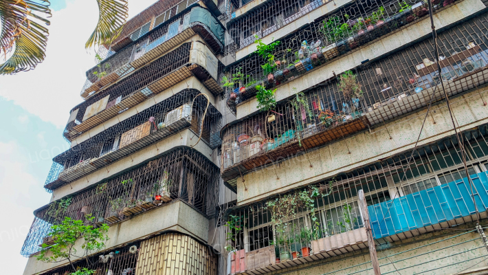 建红街31号外景图