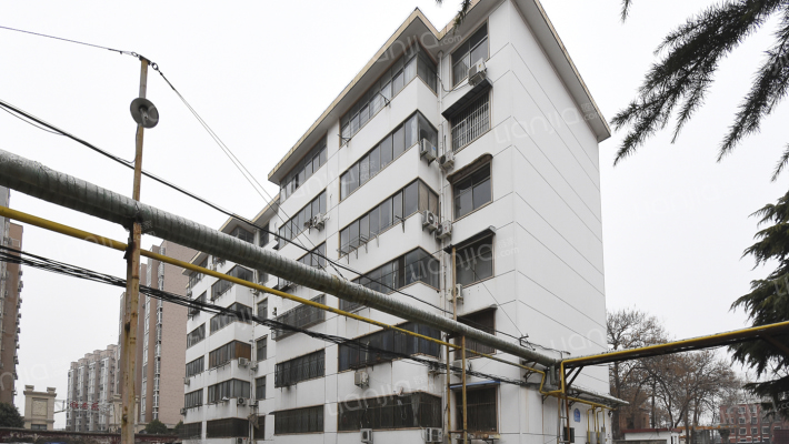 烟草车队家属院外景图