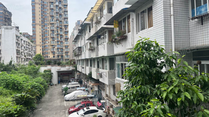 黄山名苑外景图