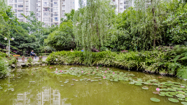 兴元华盛二期外景图