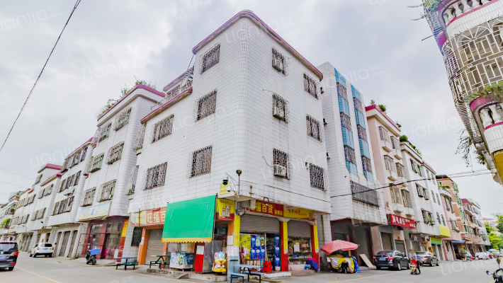 竹基新村外景图