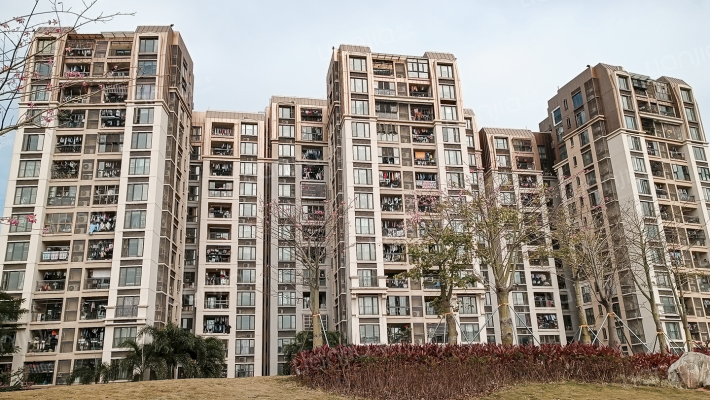 万科金色领域外景图