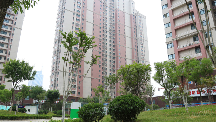 官扎营新区外景图