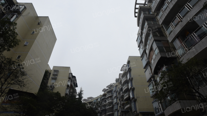 瑞丰花苑外景图