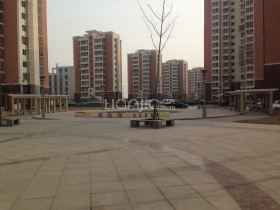 津南双港的欣悦佳园属于限价房吗?国家新出的