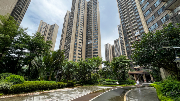 深荟城一期外景图