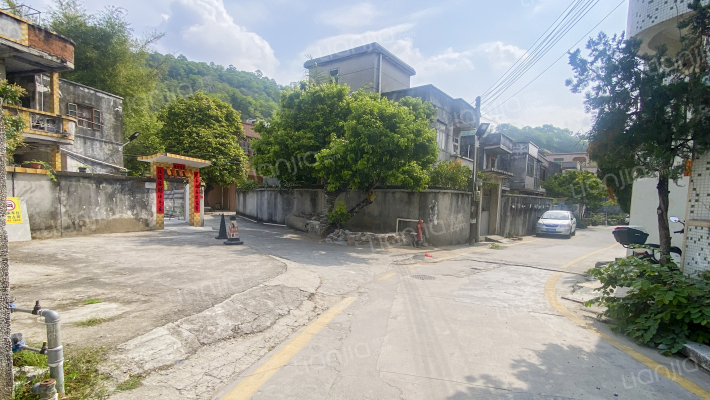 湖洲村外景图