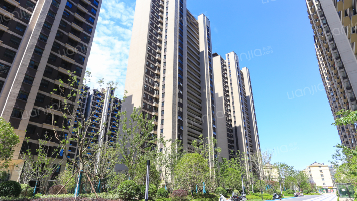 春风南岸外景图