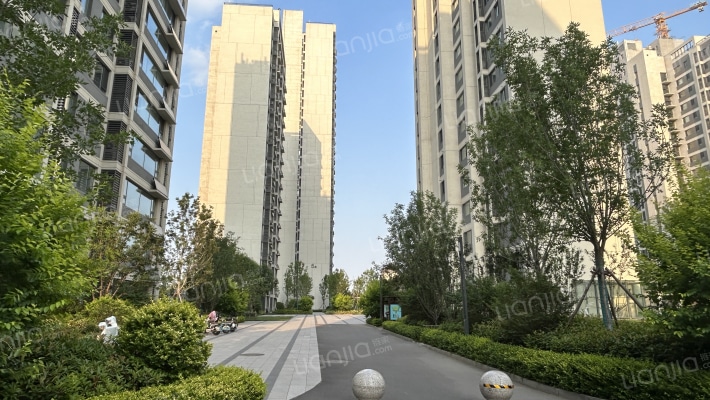 碧桂园凤凰星著外景图