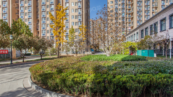 韩建青春誌外景图