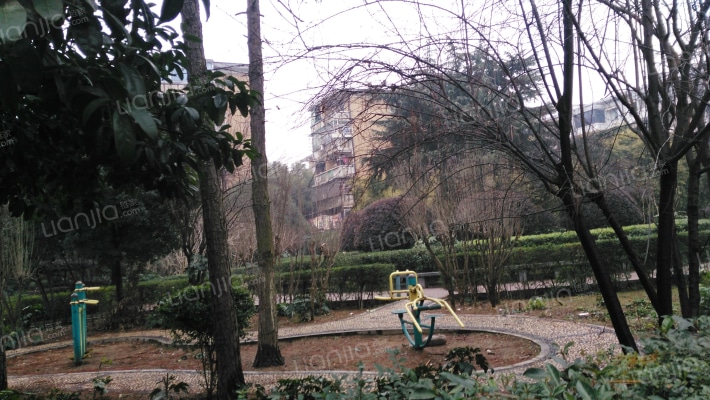 桐梓坡小区外景图