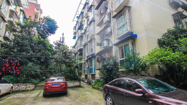 高岩支路16号58号100号外景图